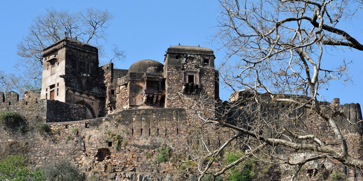 Delhi Agra Ranthambore Jaipur Tour Package