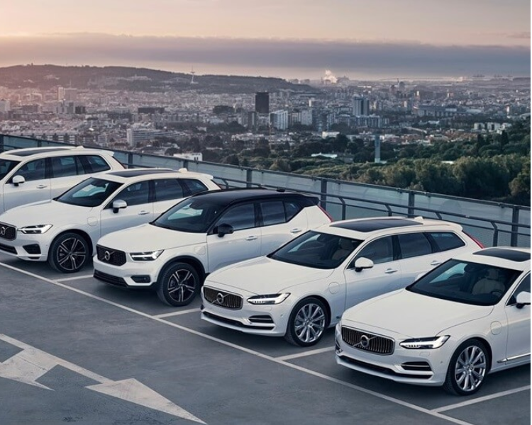 Volva & Car Rentals Services
